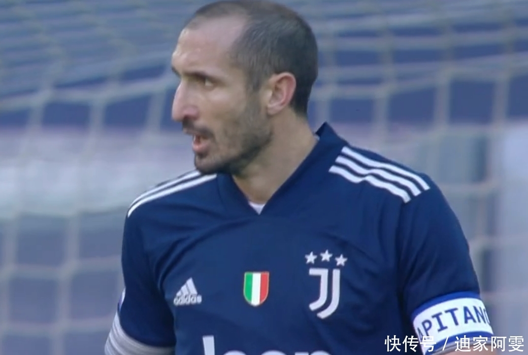 山东队在篮 山东队在篮