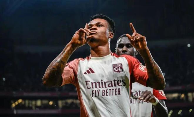 的活力提供 的活力提供