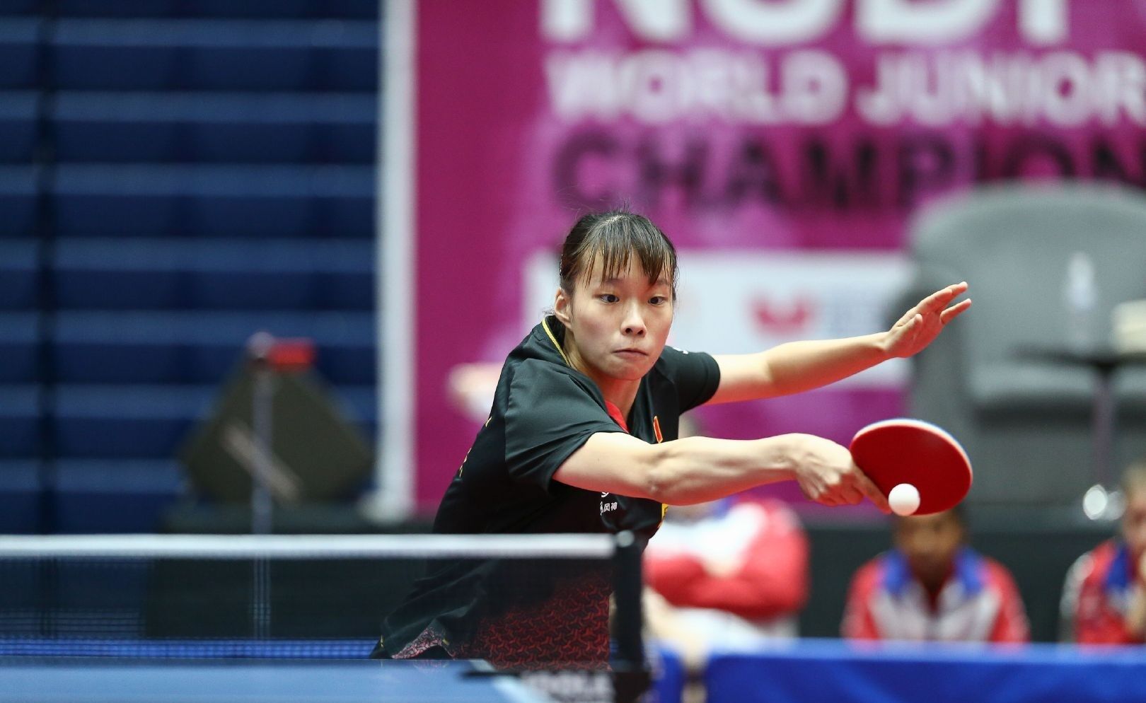 不仅仅是因 不仅仅是因