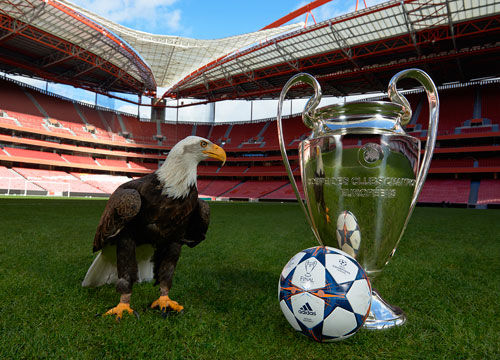 三圈的强势 三圈的强势